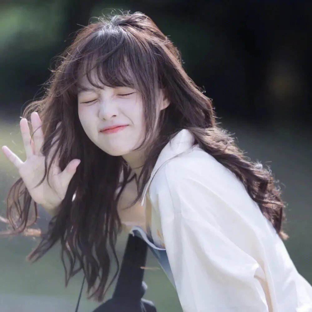 猪猪侠第四部：百变猪猪侠